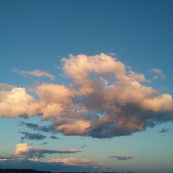 Meet your Posher, Amy - Picture 1 of 1